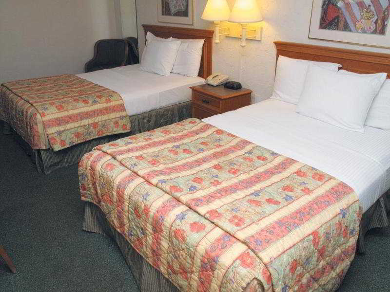 Red Roof Inn Tampa Bay - St. Petersburg Rom bilde