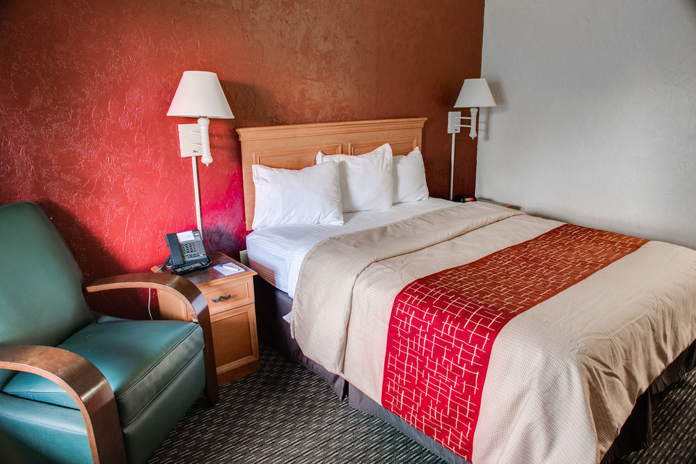 Red Roof Inn Tampa Bay - St. Petersburg Eksteriør bilde