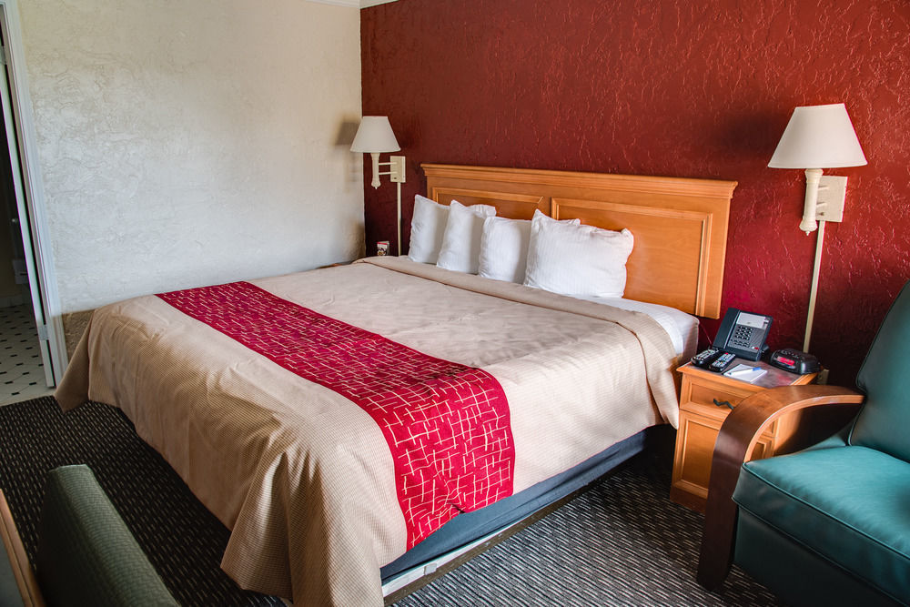 Red Roof Inn Tampa Bay - St. Petersburg Eksteriør bilde