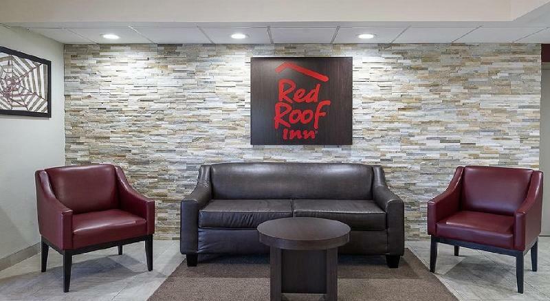 Red Roof Inn Tampa Bay - St. Petersburg Eksteriør bilde